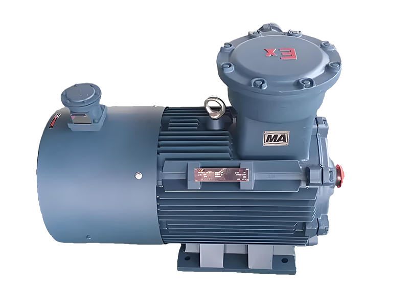 Explosion Proof Electric Motor