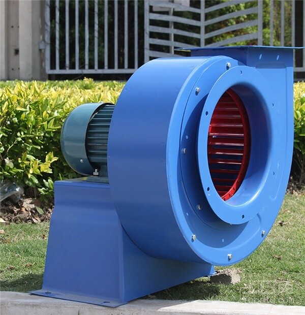 1 (13).jpg 1 (13).jpg