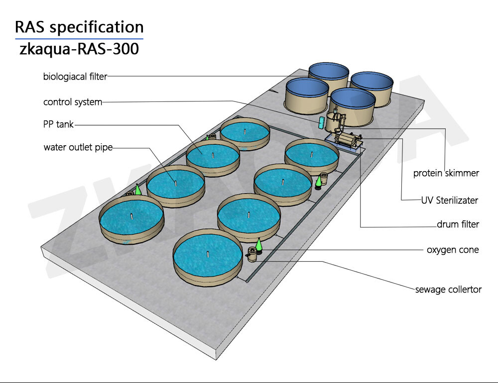 système ras pour la pisciculture autres équipements d'aquaculture système ras pour l'aquaculture pour la pisciculture