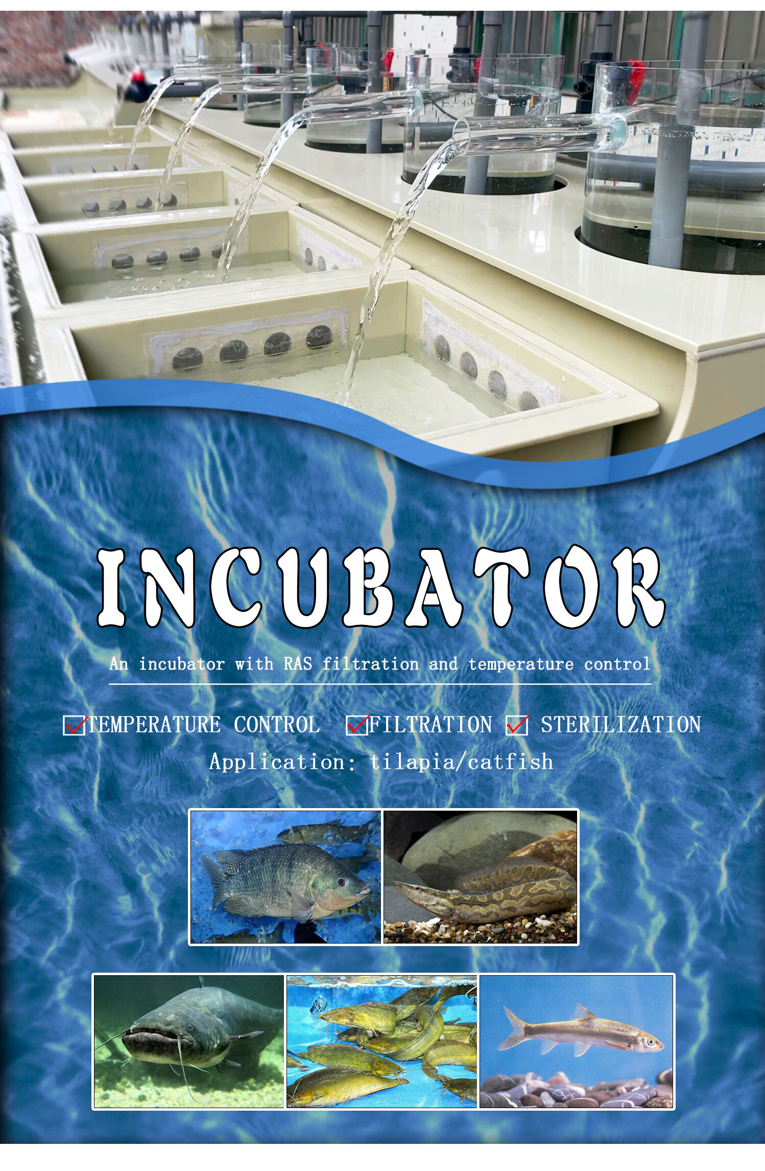 Écloserie de poissons Incubateur de poissons Élevage de poissons Autres équipements d'aquaculture Équipement d'écloserie de poisson-chat Écloserie de poissons Incubateur de poissons Élevage de poissons Autres équipements d'aquaculture Équipement d'écloserie de poisson-chat