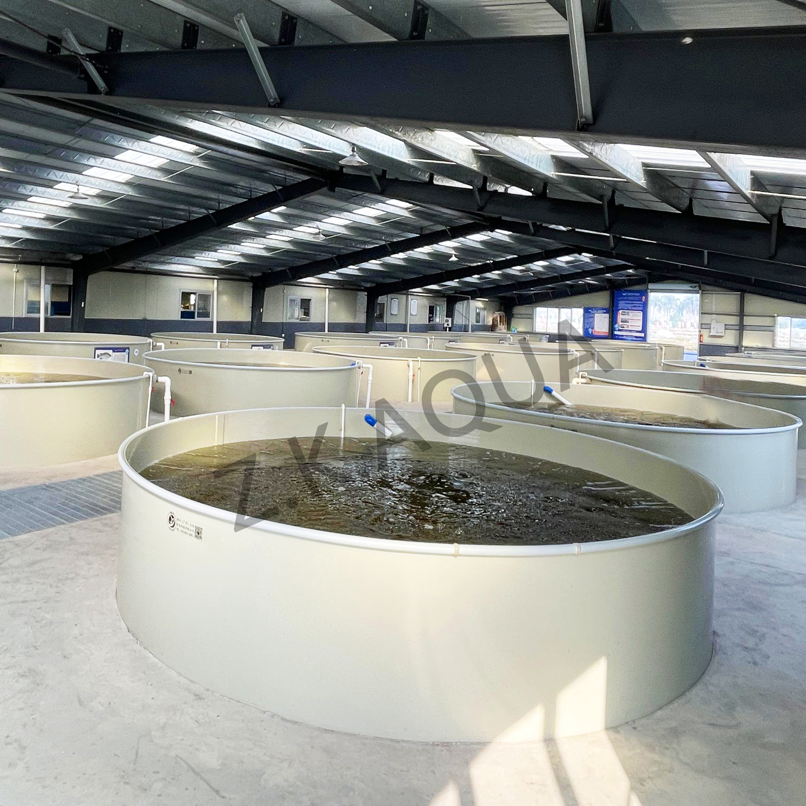 Système d'aquaculture en recirculation (RAS)