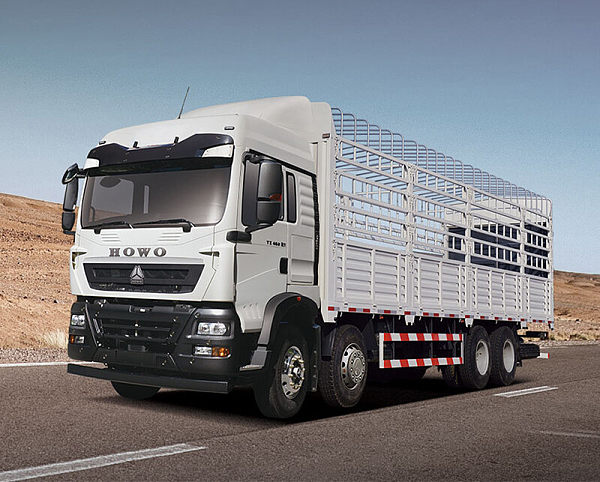HOWO TX  cargo truck