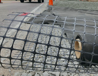 Geogrid