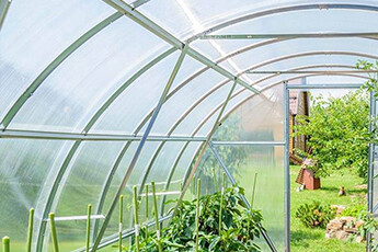 How to choose plastic film for greenhouses