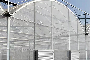 How to choose plastic film for greenhouses