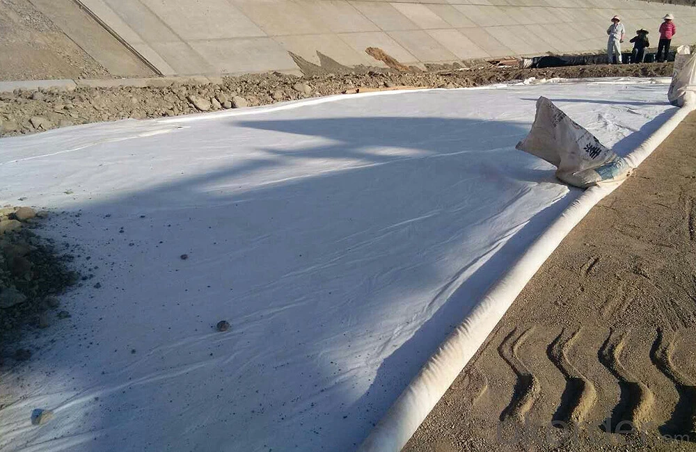 Composite geomembrane