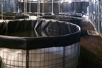 The reasons why HDPE geomembrane is widely used.