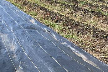 How to choose weed-proof cloth?