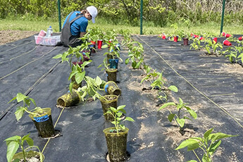 How to choose weed-proof cloth?