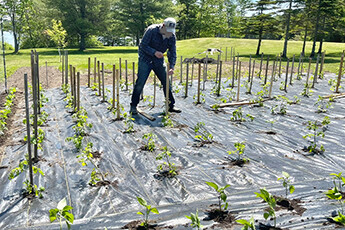 How to choose weed-proof cloth?