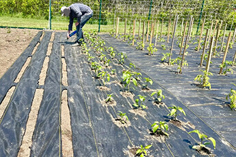 How to choose weed-proof cloth?