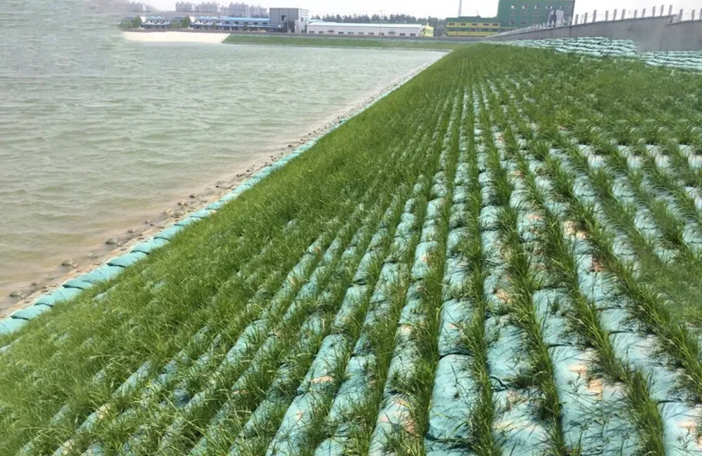 Geotextile bags