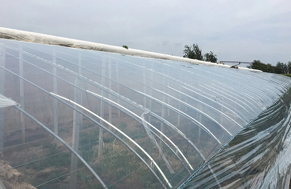 Greenhouse plastic film