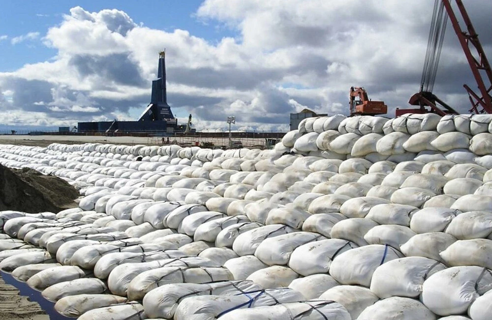 Shoreline protection geobags