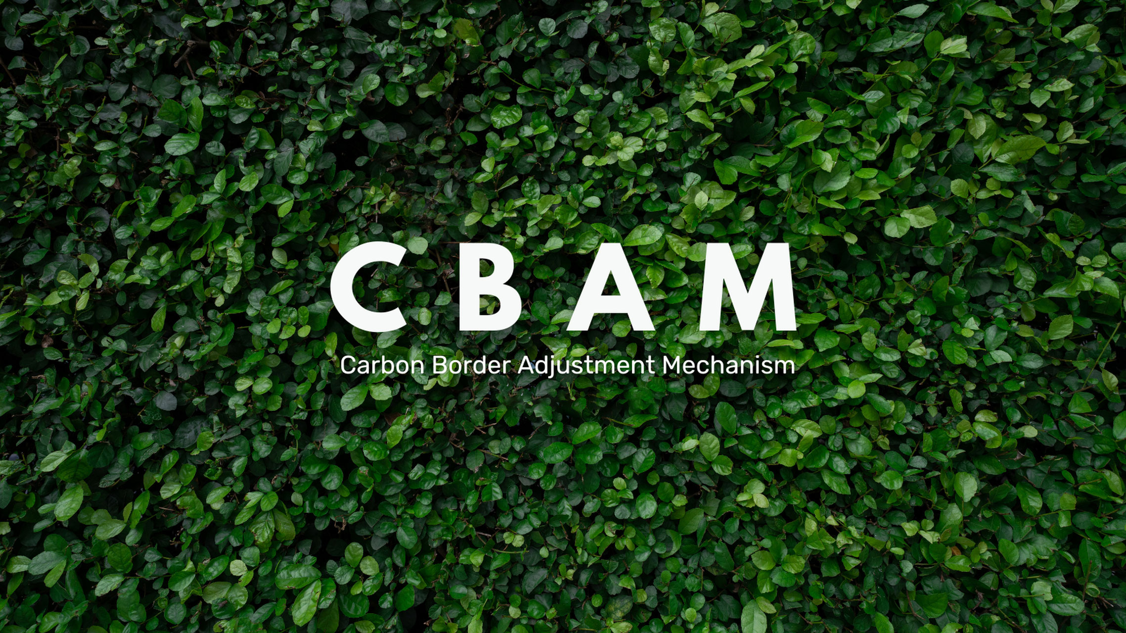 European CBAM: how the mechanism will work in 2026