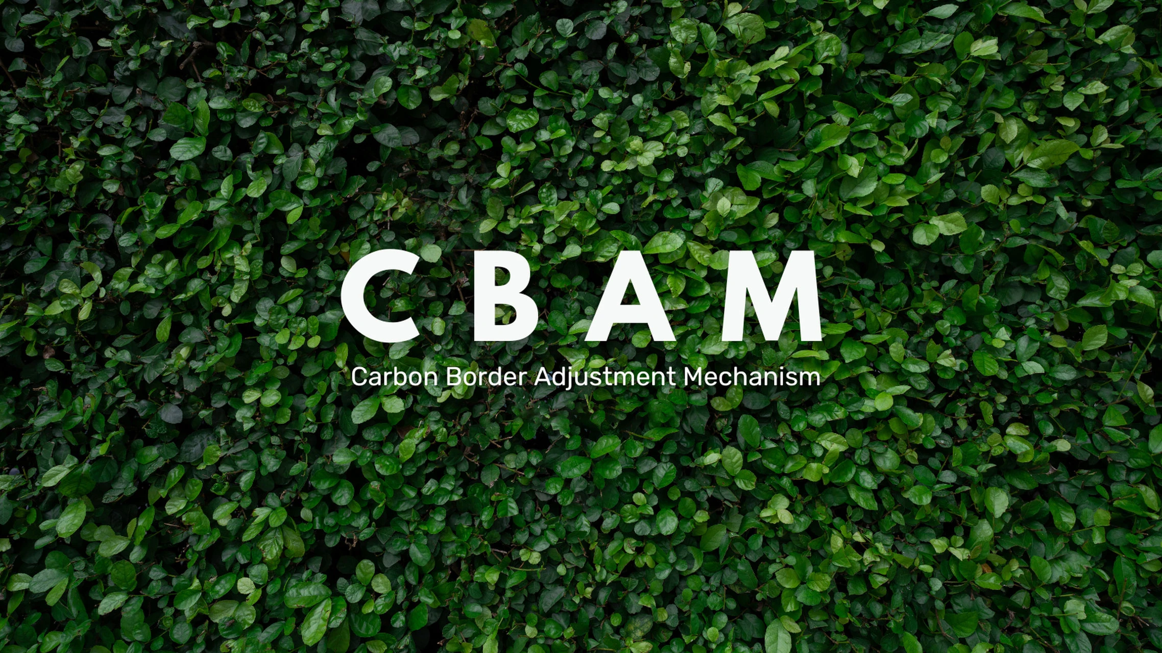 European CBAM: how the mechanism will work in 2026 European CBAM: how the mechanism will work in 2026