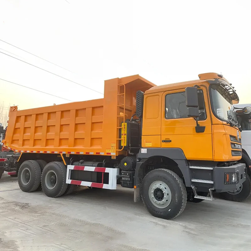 8x4 6x4 Drive Wheel Euro 3 Euro 5 Heavy Truck 430 Hp X3000 F3000 Shacman Dump Truck