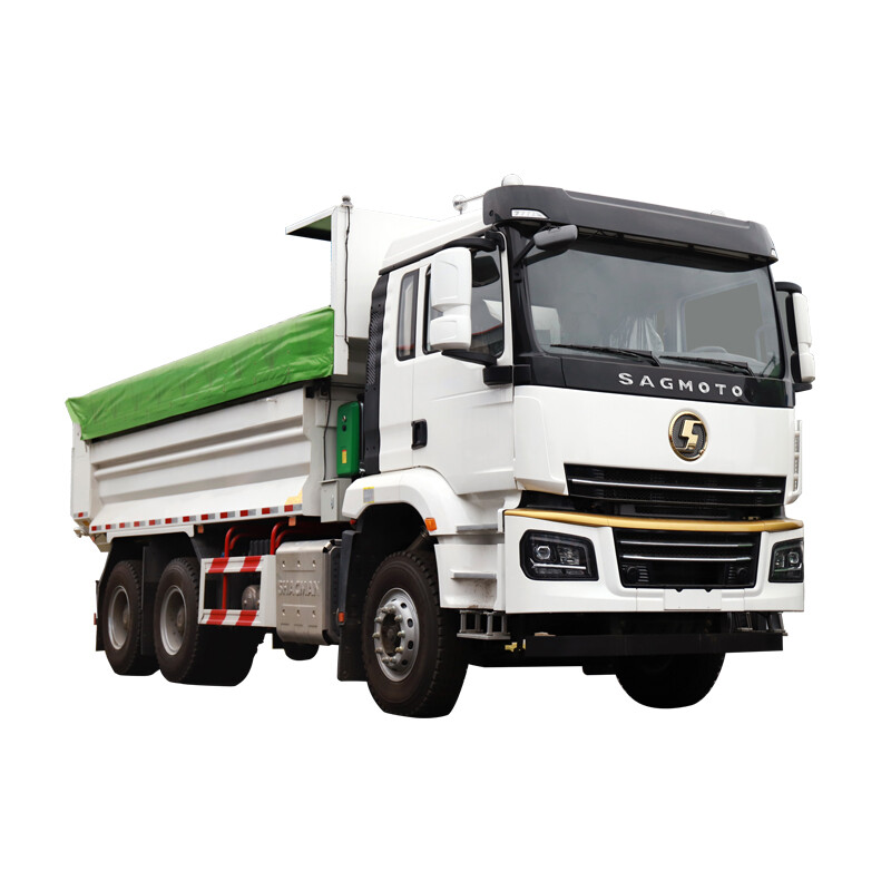 SHACMAN 10 Tyres Dumper Truck