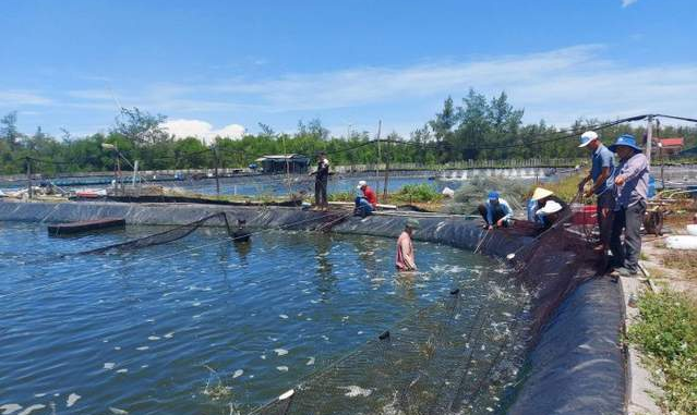 Advancements in Aquaculture: The Role of Ultrafine Pulverizers in Marine Animal Nutrition