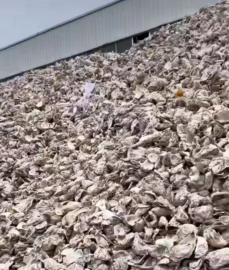 Transforming Waste into Value: The Application of Ultra-Fine Pulverizers in Oyster Shell Processing