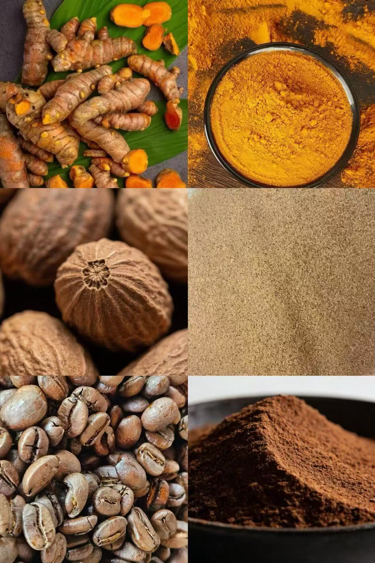 Transform Your Powder Processing with Precision & Efficiency!