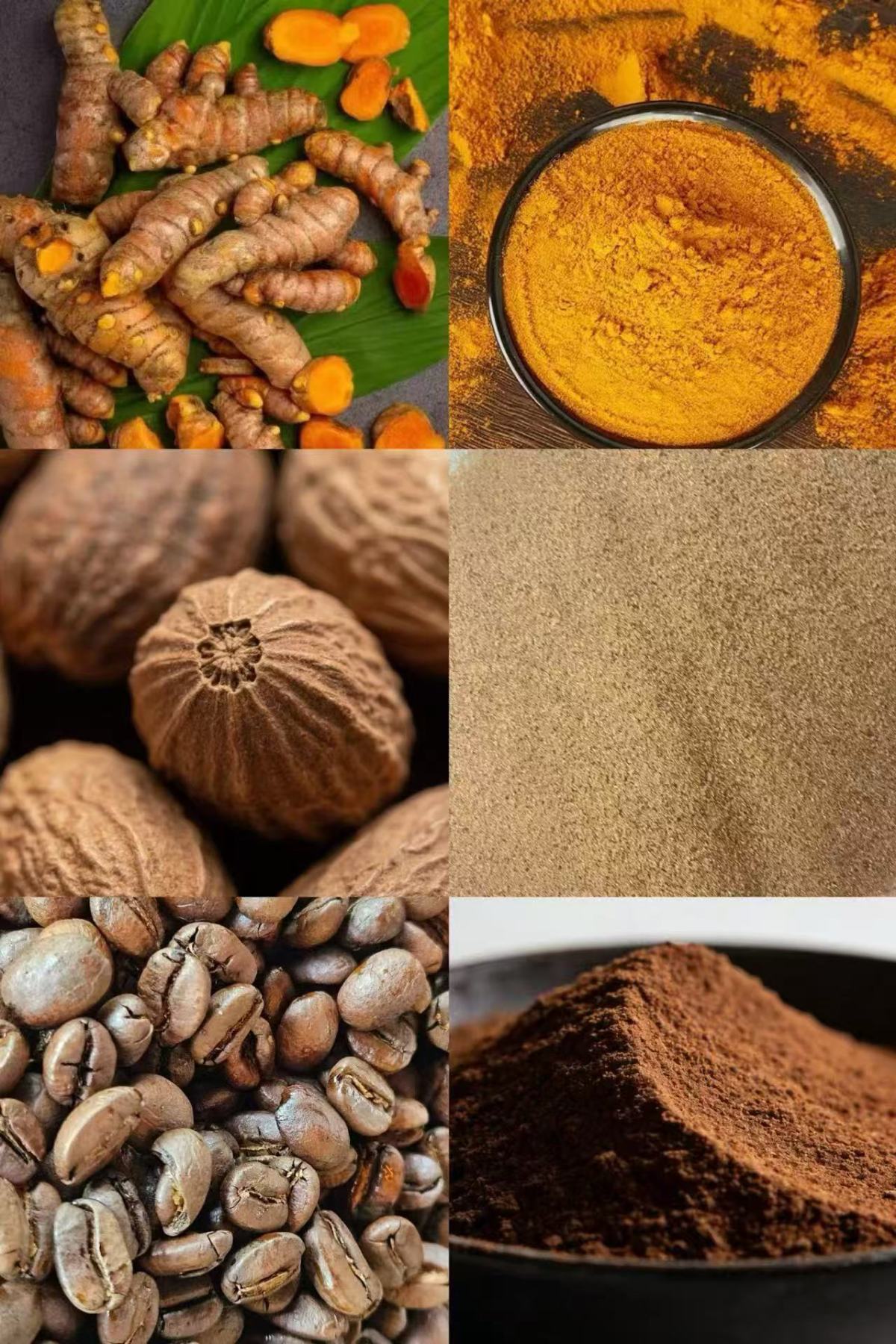 1768381702869989675605360640.jpg 1768381702869989675605360640.jpg