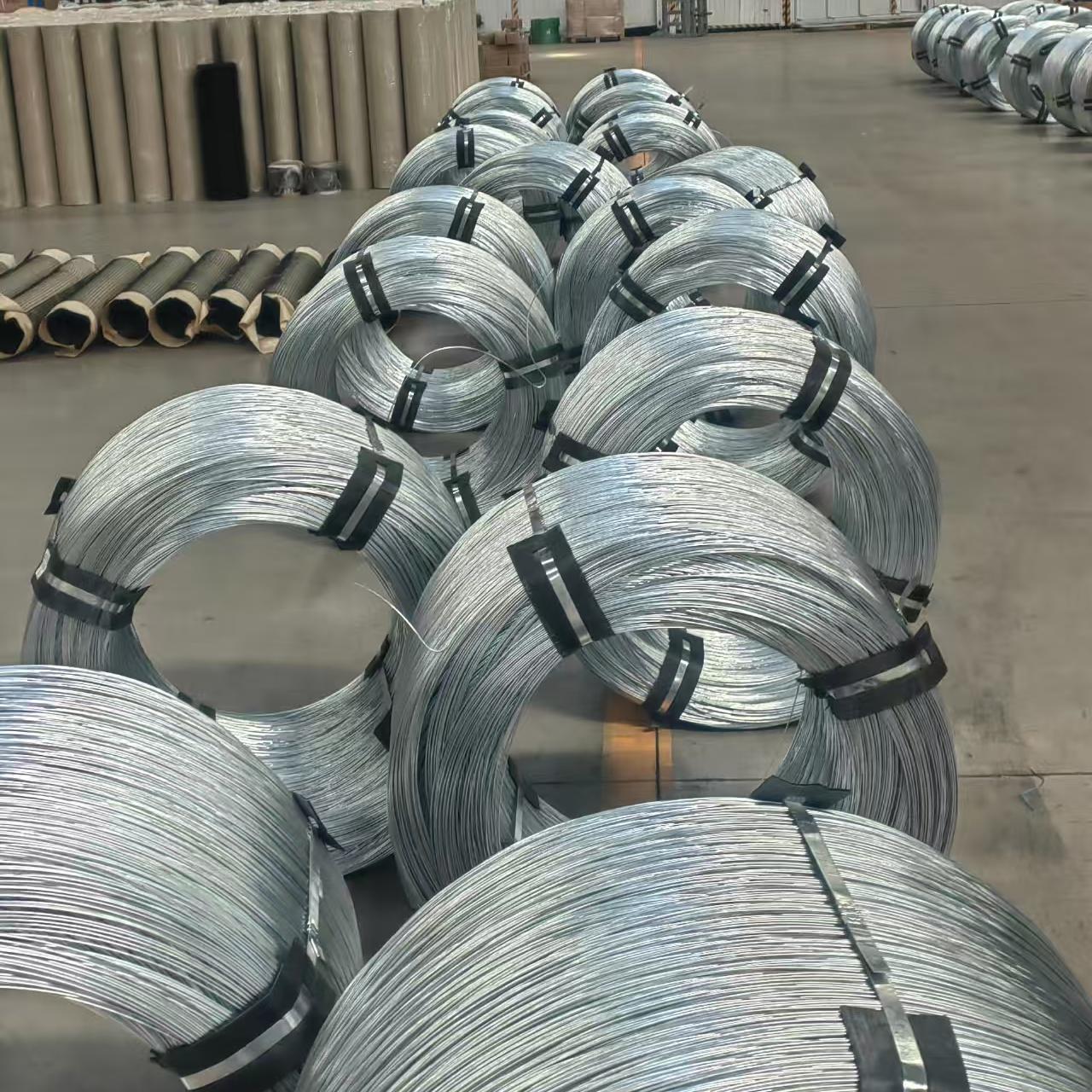Galvanized Steel Wire