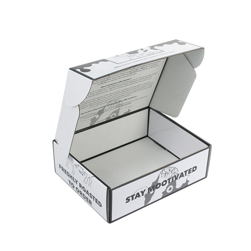  Customized Large Shipping Boxes with Logo for Clothing, Cosmetics & Gift Packaging