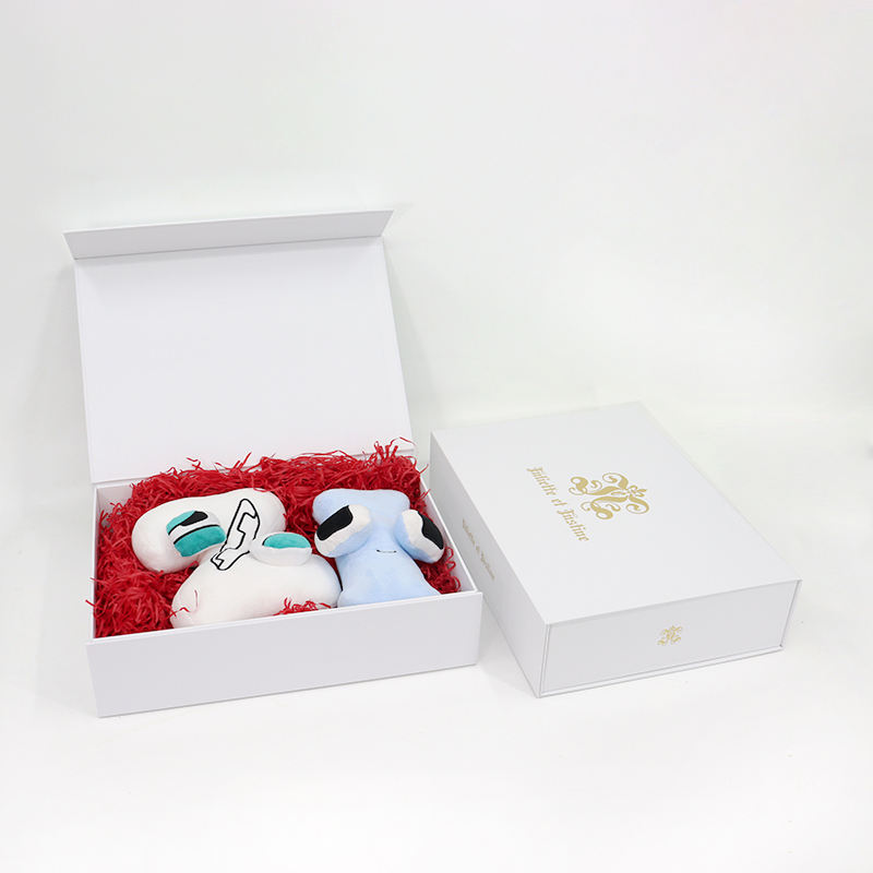  Luxury Custom Hard Board Magnetic Box with EVA Foam Insert for Clothing & Cosmetic Packaging