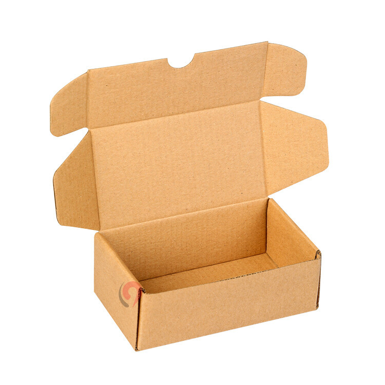 0242#-5.jpg 0242#-5.jpg