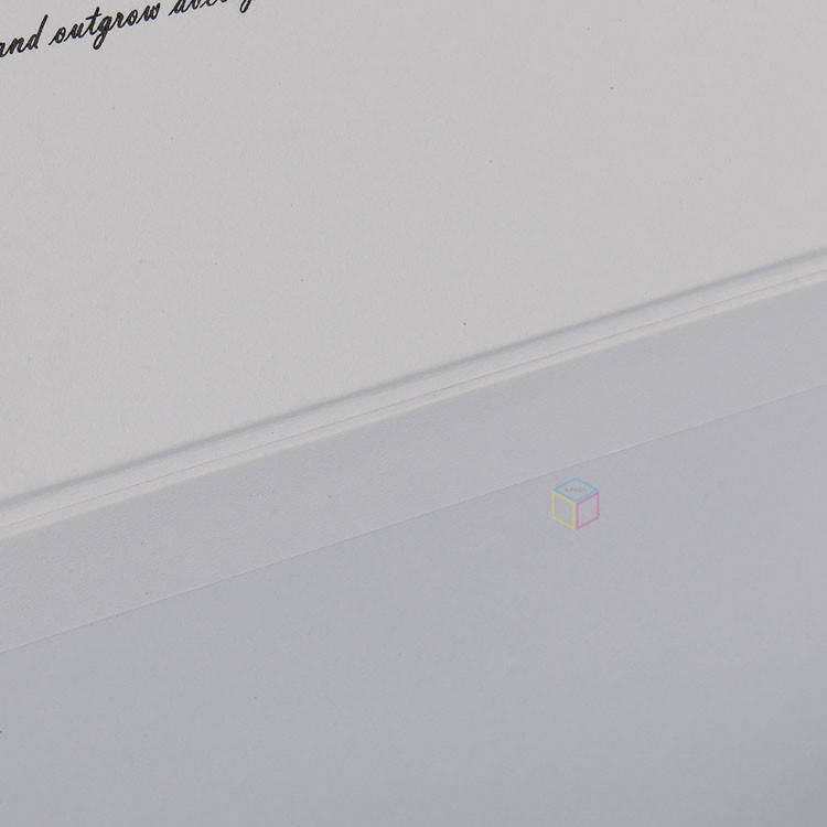 paper box 2005-612g.jpg