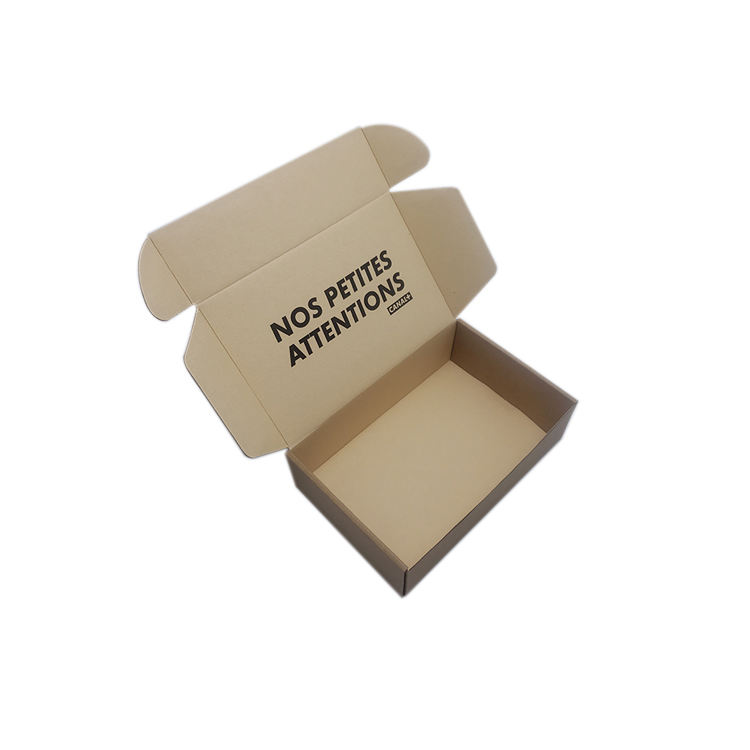 Custom Logo Folding Paper Packaging Rigid Cardboard Mailer Shipping Mailing Box | Eco-Friendly & Durable