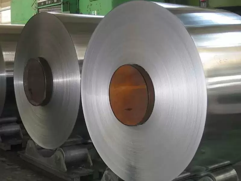 Hastelloy B-2 / Hastelloy C22 Alloy Coil&Strip