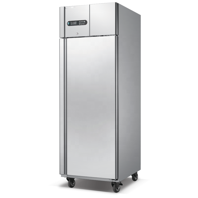 Commercial Kitchenware Upright Restaurant Refrigerator Double temperature Air cooling RDAG-20