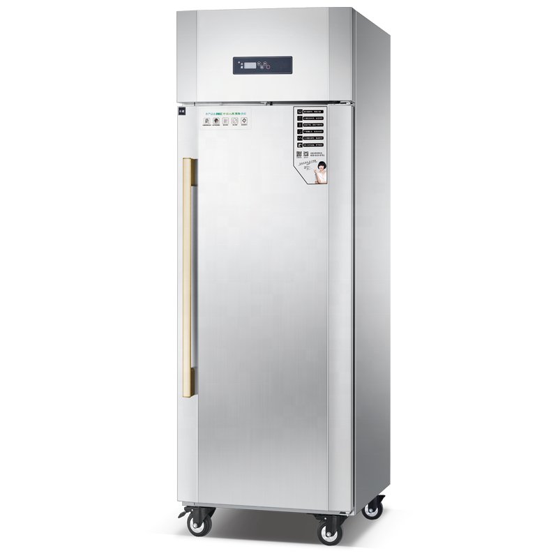 Commercial Kitchenware Upright Restaurant Refrigerator Freezer Air cooling RFAF-10