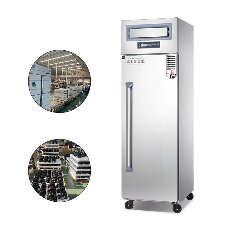 Commercial Kitchenware Upright Restaurant Refrigerator Double temperature Air cooling RDAF-10