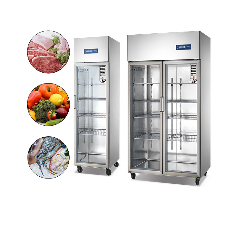 Commercial Kitchenware Upright Restaurant Refrigerator RFAG-10