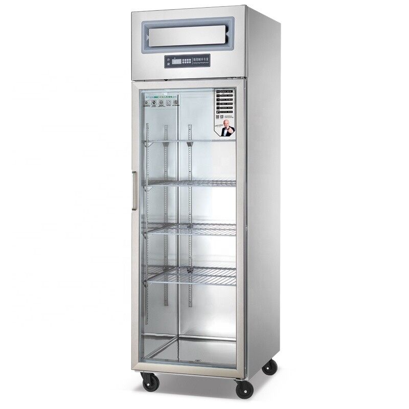 Commercial Kitchenware Upright Restaurant Refrigerator RFAG-10