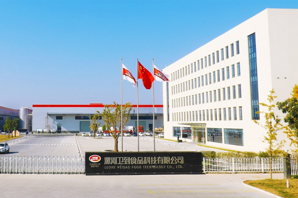 Weilong Rapid Gate Project