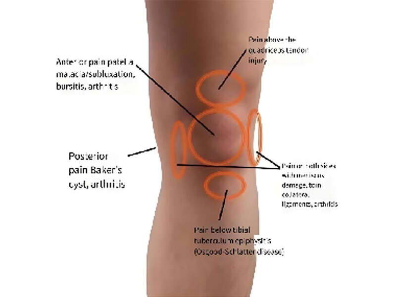 首页图_0002_未标题-1_0004_图层 5.jpg
