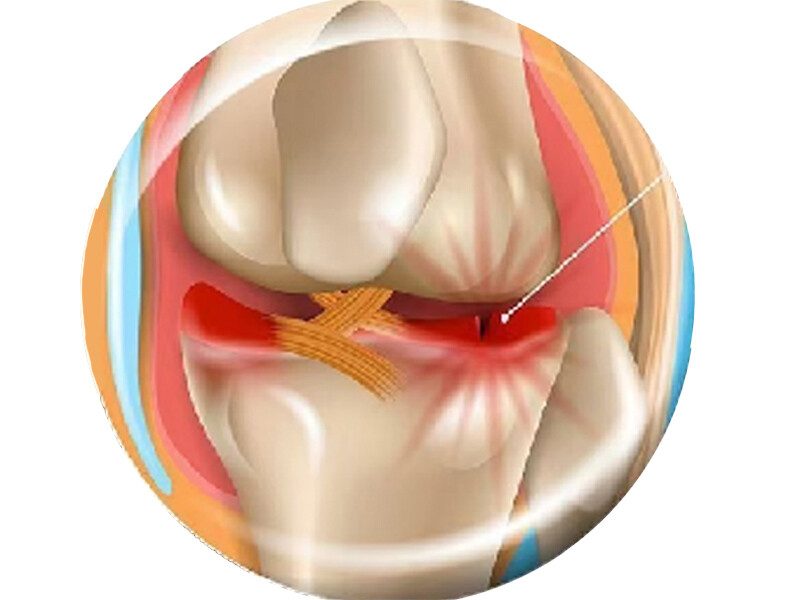 首页图_0007_未标题-1_0000_图层 10.jpg