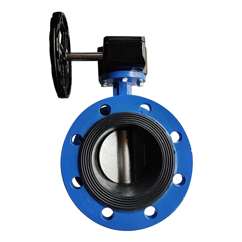 Butterfly Valve Body Casting