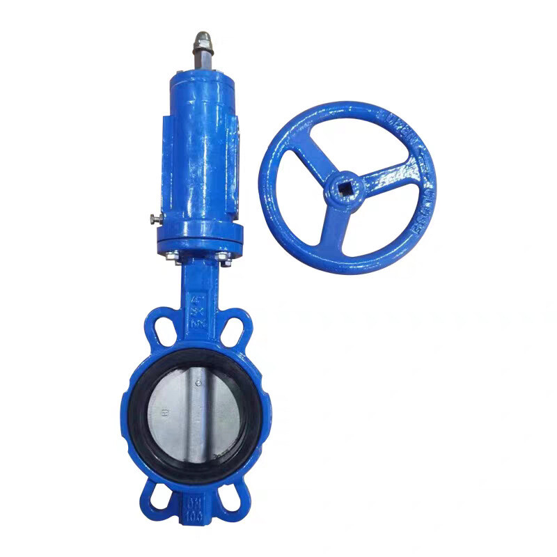Butterfly Valve Body Casting