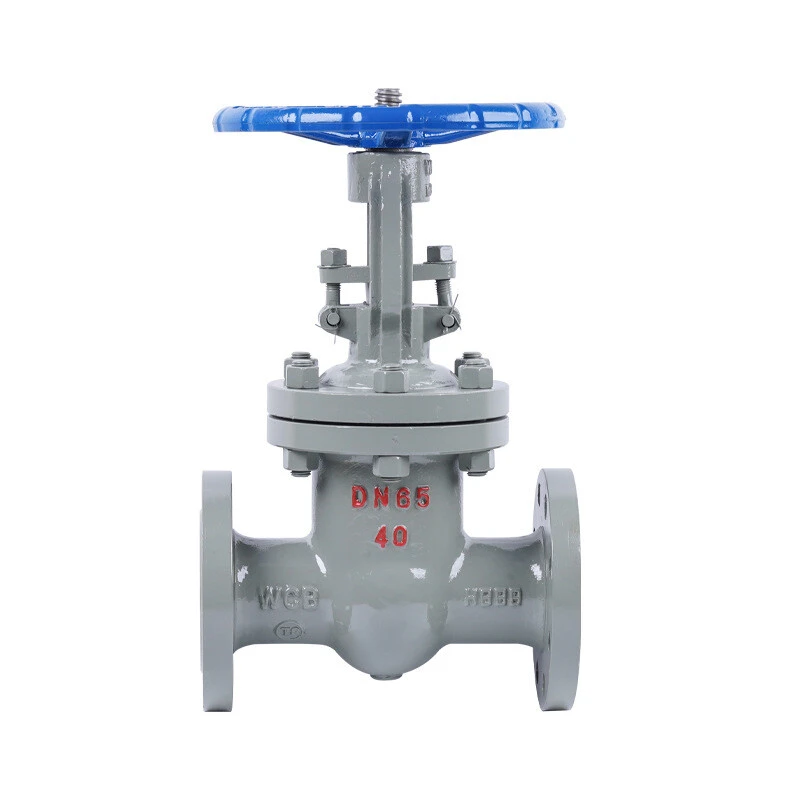 gate valve body casting