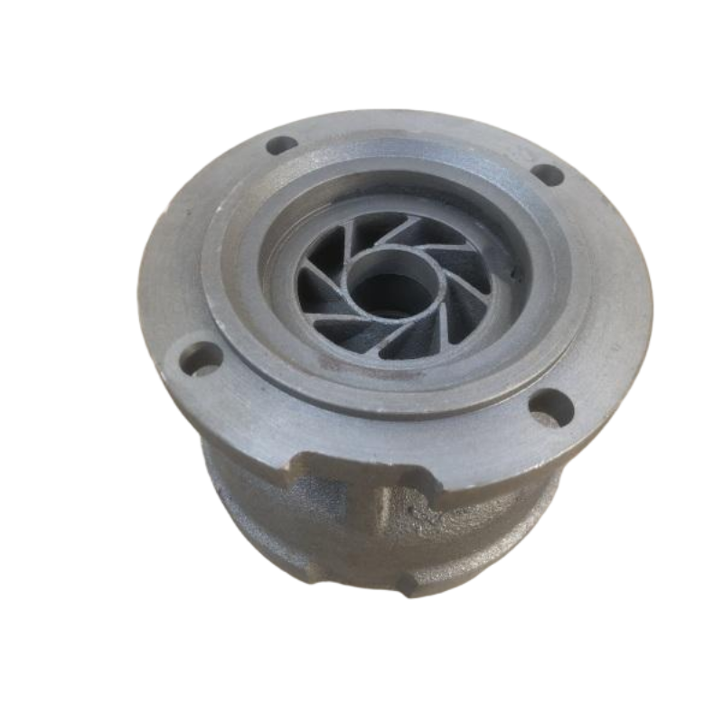 Cast steel pump casing