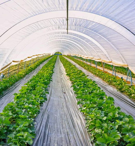 Plastic film Plastic film