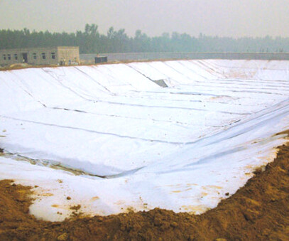 Composite geomembrane