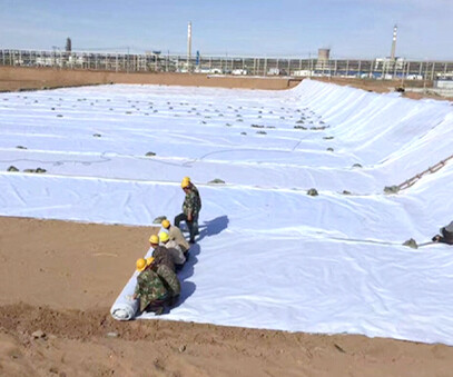 Composite geomembrane