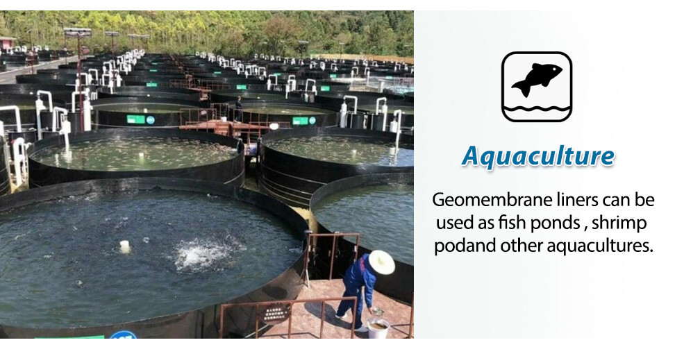 详情页_02.jpg 详情页_02.jpg