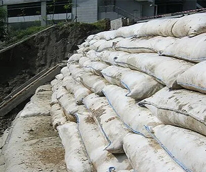 Shoreline protection geobags